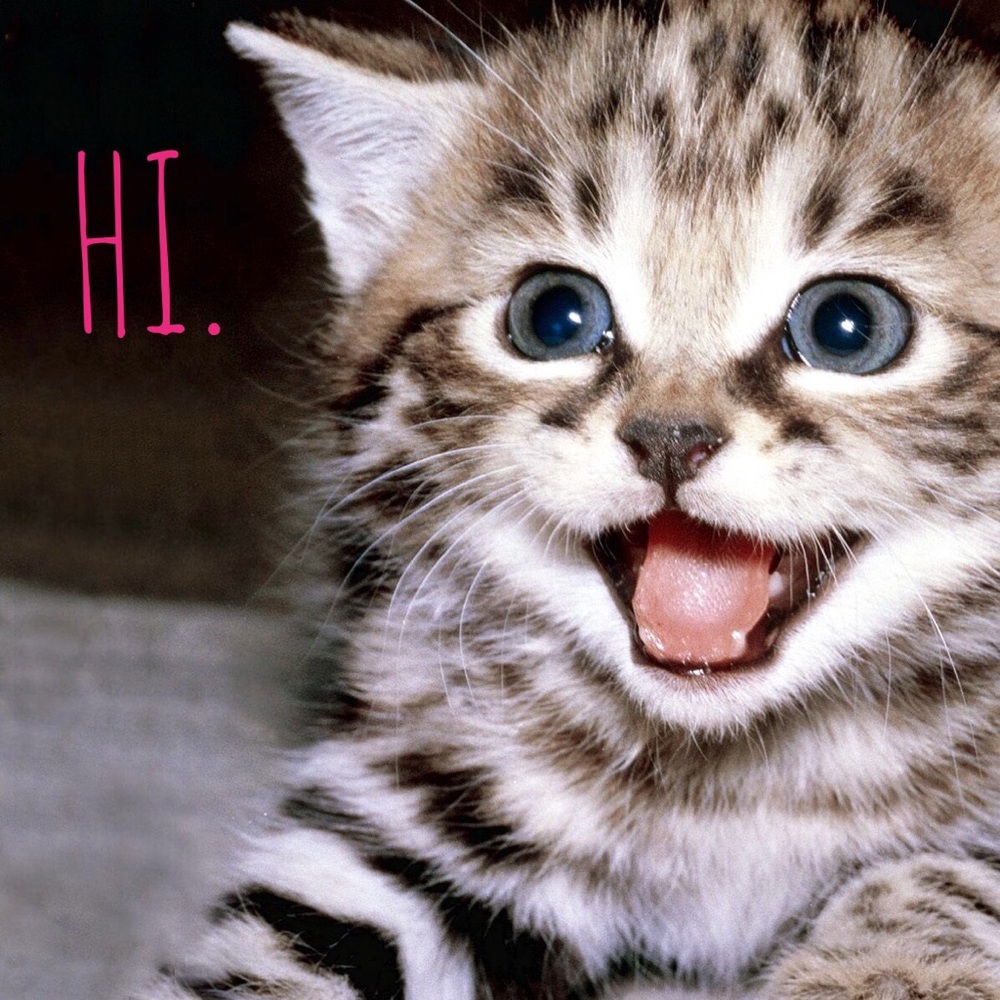 Nice to meet you.